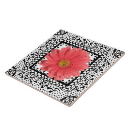 Teja de Sherbert de la margarita del Gerbera