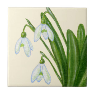 Teja de Snowdrops