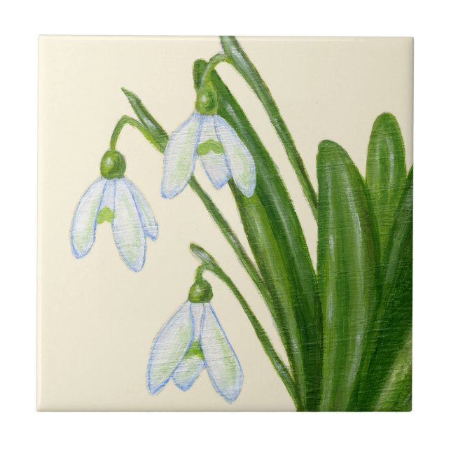 Teja de Snowdrops (Frente)