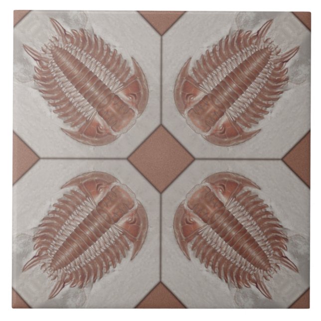 Teja de Trilobite (Frente)