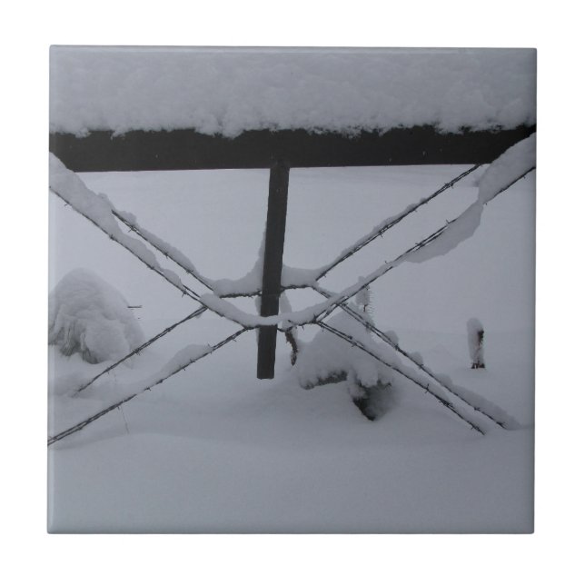 teja decorativa (Frente)