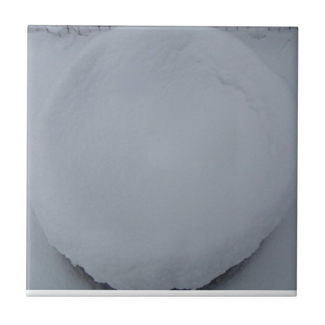 TEJA DECORATIVA (Frente)