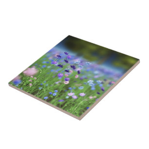 Teja decorativa azul del Cornflower