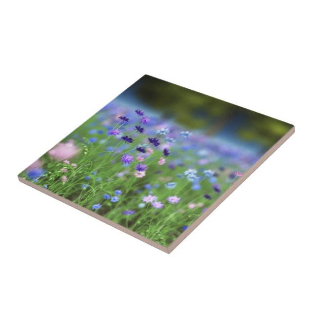 Teja decorativa azul del Cornflower (Lado)