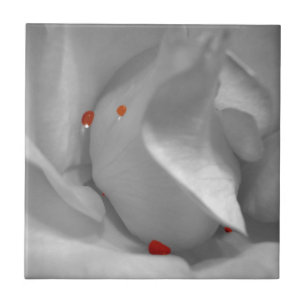 Teja decorativa de la acuarela eólica