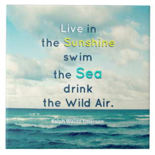 Teja decorativa de la cita del mar