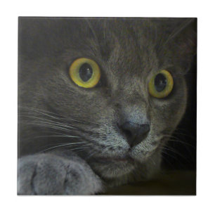 Teja decorativa de la intensidad