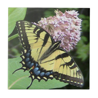 Teja decorativa de la mariposa amarilla de