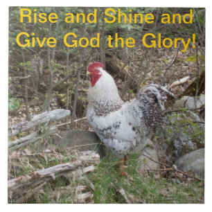 Teja decorativa del gallo