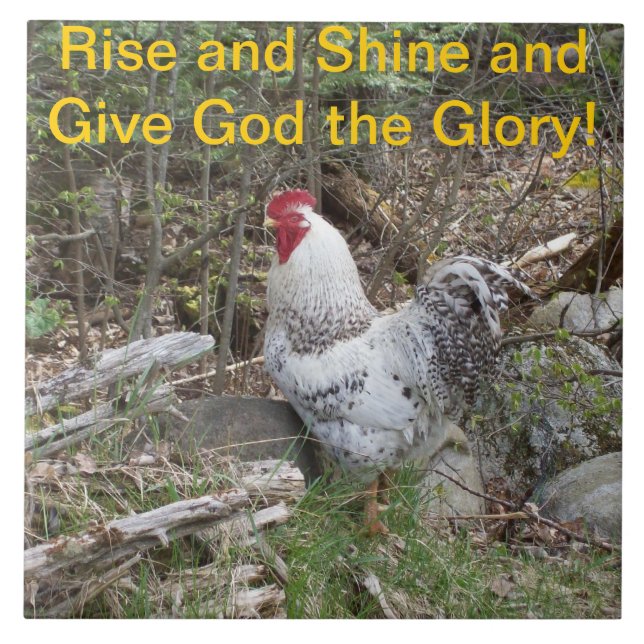 Teja decorativa del gallo (Frente)