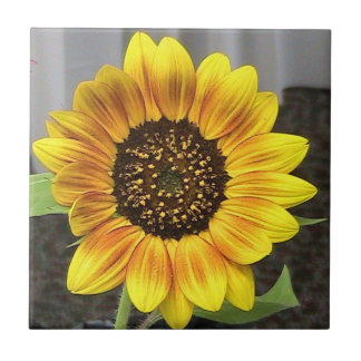 Teja decorativa del girasol grande