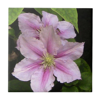 Teja decorativa del lirio rosado