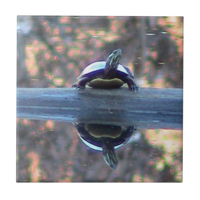 Teja decorativa reflejada tortuga (Frente)