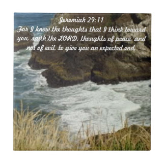 Teja del 29:11 de Jeremiah