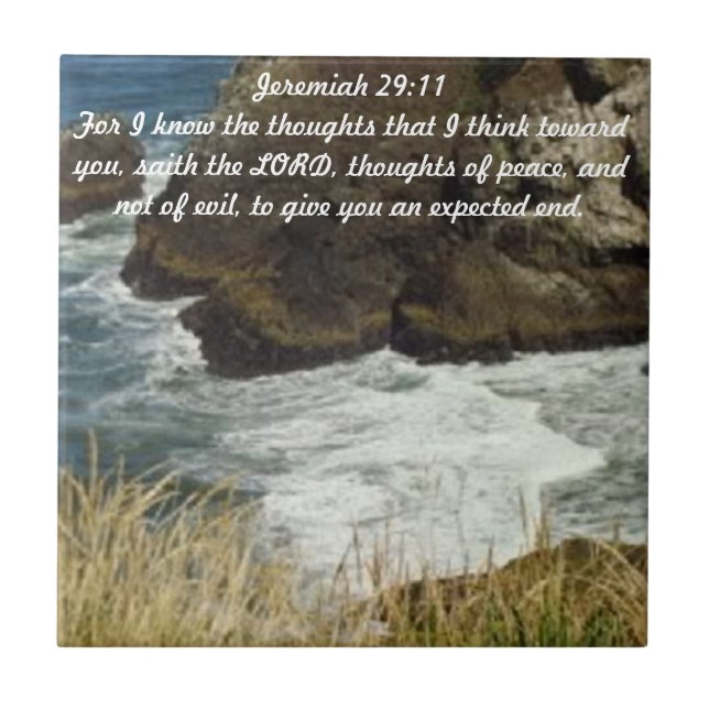 Teja del 29:11 de Jeremiah (Frente)