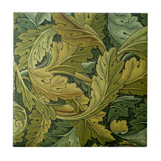 Teja del Acanthus