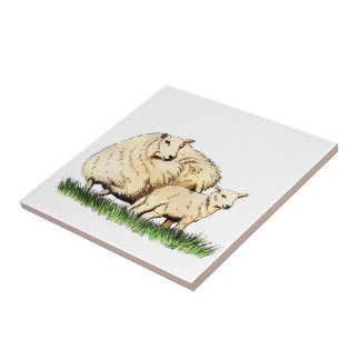 teja del animal de dos ovejas