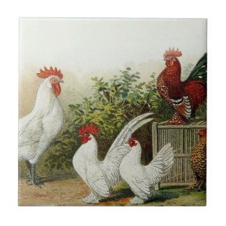 Teja del arte
