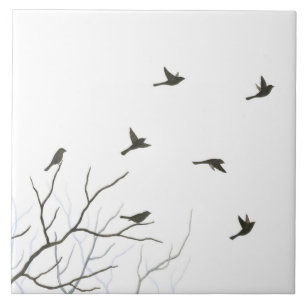 Teja del arte de la silueta de los pájaros de