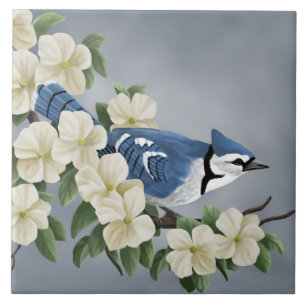 Teja del arte del arrendajo azul