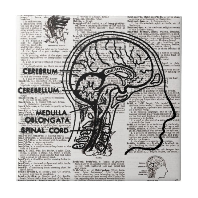 Teja del arte del diccionario del cerebro (Frente)