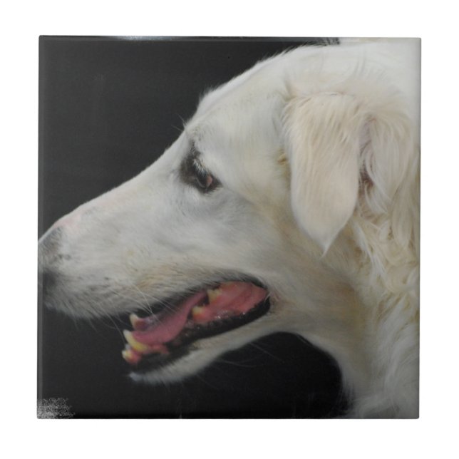 Teja del Borzoi (Frente)