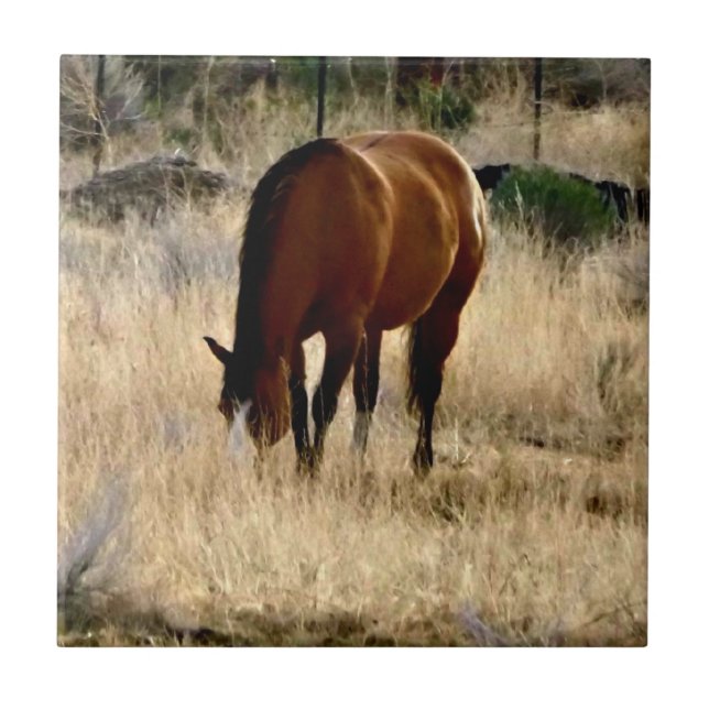 Teja del caballo (Frente)