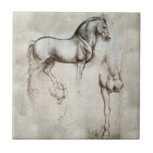 Teja del caballo de da Vinci