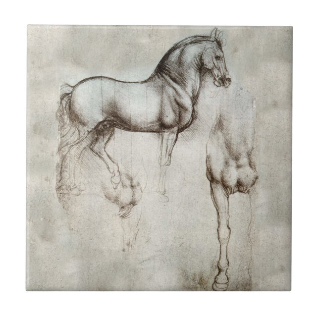 Teja del caballo de da Vinci (Frente)