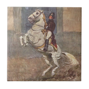 Teja del caballo del Dressage