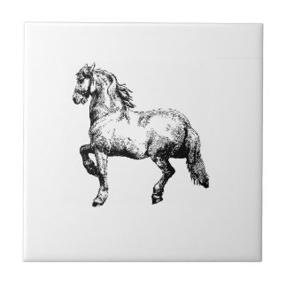 Teja del caballo del vintage