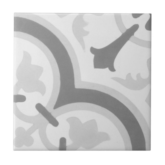 Teja del cemento del Encaustic de la reproducción (Frente)