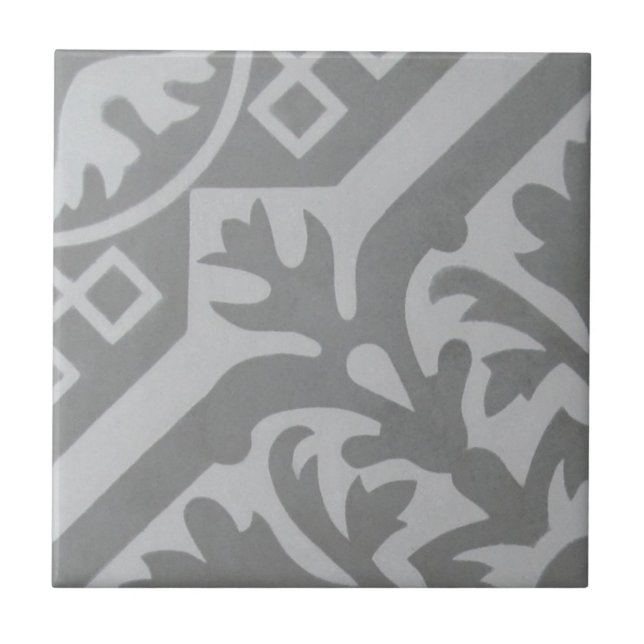 Teja del cemento del Encaustic de la reproducción (Frente)