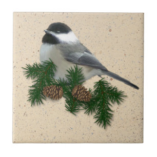 Teja del Chickadee