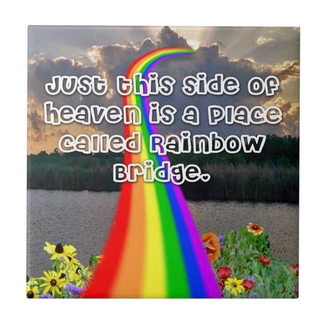 Teja del puente del arco iris (Frente)