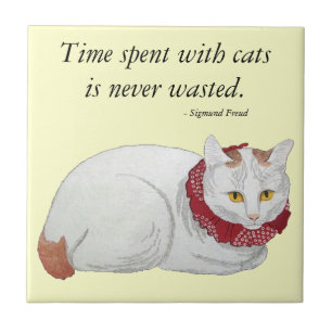 Teja del regalo del tiempo del gato