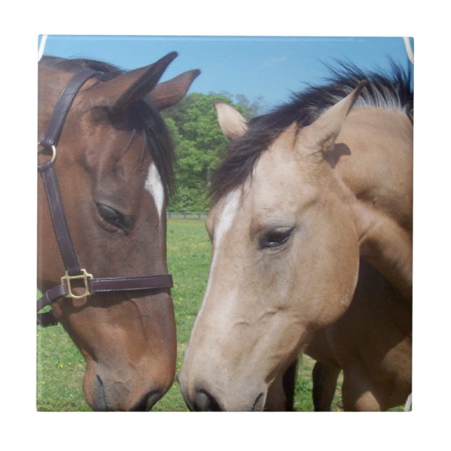 Teja del romance del caballo (Frente)