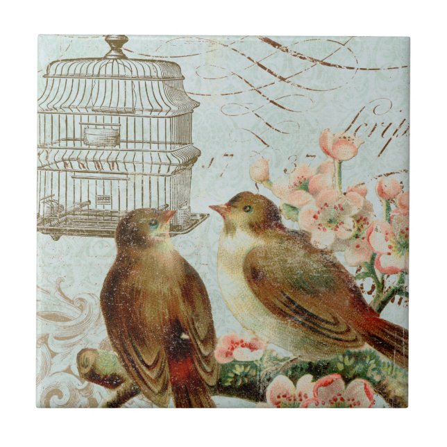 Teja del vintage (Frente)