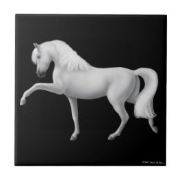 Teja española del paso del caballo andaluz