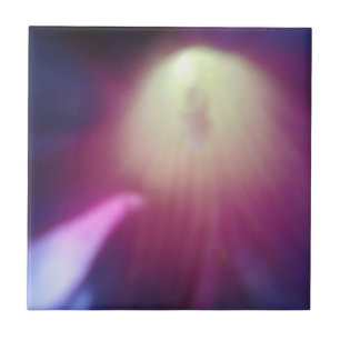 Teja floral Rosado-Púrpura