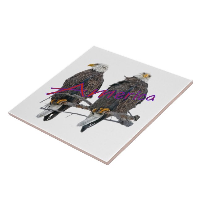 Teja gemela de Eagles América (Lado)