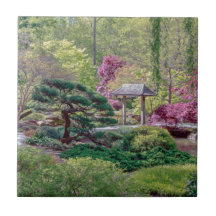 Teja japonesa de la foto del jardín
