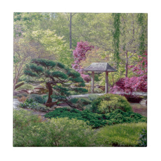 Teja japonesa de la foto del jardín