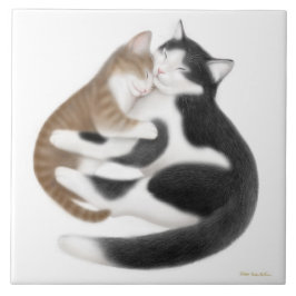 Teja maternal del amor del gatito