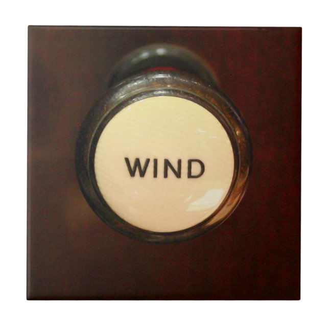 Teja o trivet de la parada del viento del órgano (Frente)