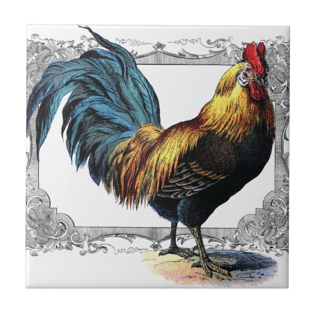teja o trivet del gallo (Frente)