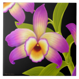 Teja tropical de la orquídea de Nobile del