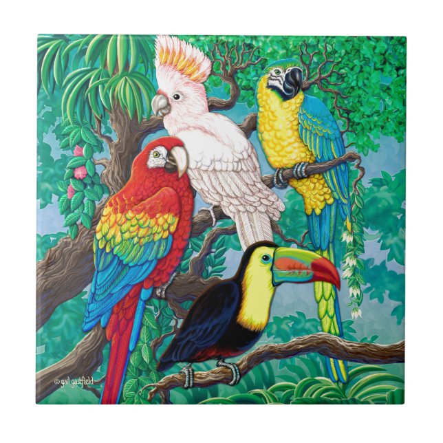 Teja tropical de los pájaros (Frente)