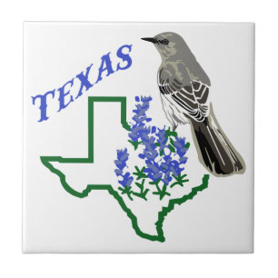 Tejas
