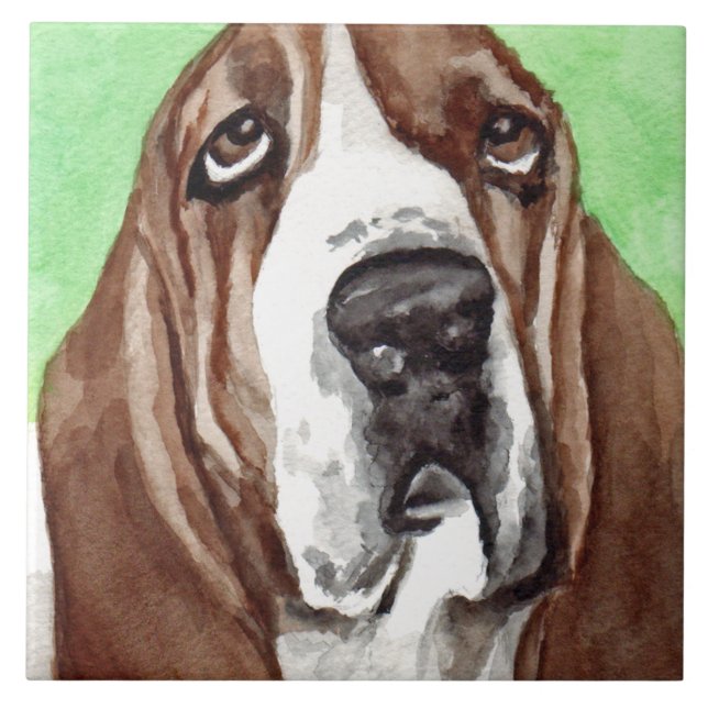 Tejas del arte de Basset Hound (Frente)